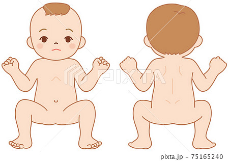 赤ちゃん 人体のイラスト素材