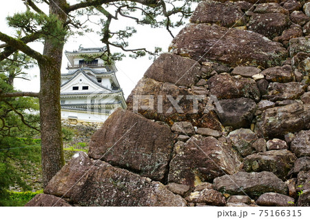 高知城の石垣と天守 75166315