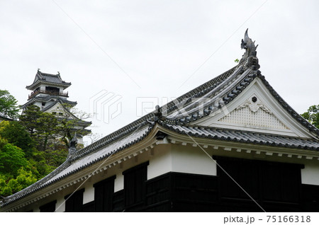 高知城の追手門と天守 高知城の追手門と天守 75166318