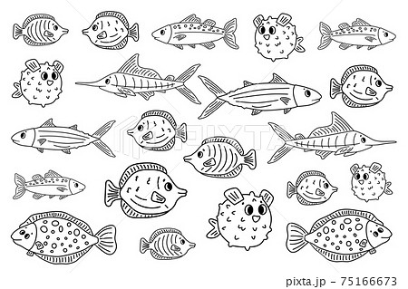 Set of outline white black different cartoon vector underwater fish, tang, flounder, tuna, ocean burrfish, sea marlin. Doodle isolated animals. Illustration for children coloring book or prints. Set of outline white black different cartoon vector underwater fish, tang, flounder, tuna, ocean burrfish, sea marlin. Doodle isolated animals. Illustration for children coloring book or prints. 75166673