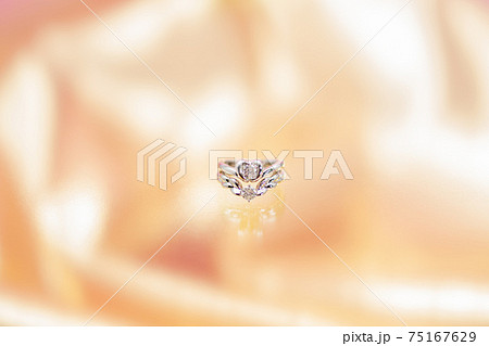 ダイヤモンドリング ダイヤモンドリング 75167629