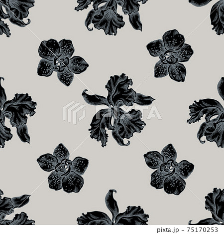 Seamless pattern with hand drawn stylized orchid Seamless pattern with hand drawn stylized orchid 75170253