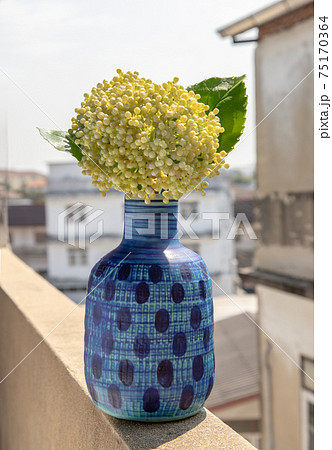 A bouquet of flowers in a blue ceramic vase on old cement wall at the balcony house. A bouquet of flowers in a blue ceramic vase on old cement wall at the balcony house. 75170364