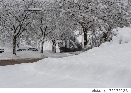 Snowy roads after heavy snowfall with snow covered trees Snowy roads after heavy snowfall with snow covered trees 75172128