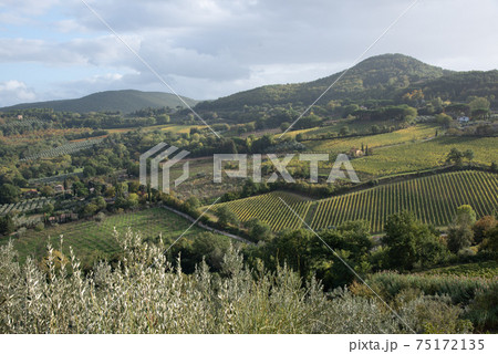 Beautiful landscape in Tuscany - enjoy the beautiful life while traveling Beautiful landscape in Tuscany - enjoy the beautiful life while traveling 75172135