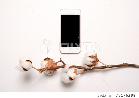 Phone with a black screen with dryed cotton flowers 75176298