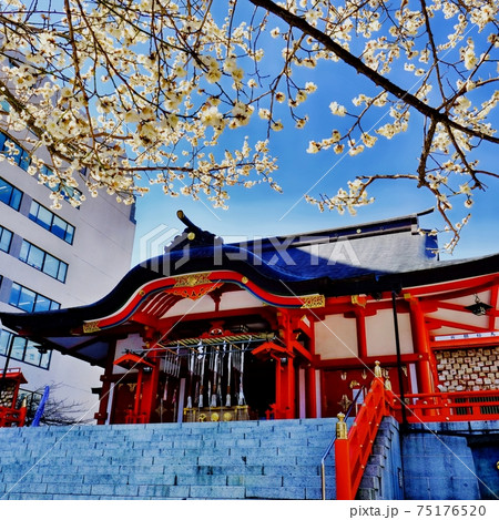 新宿　花園神社 75176520