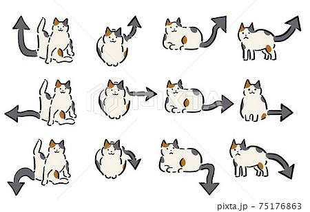 くつろぐ猫 しっぽ矢印セット 手描き 線画 カラーのイラスト素材
