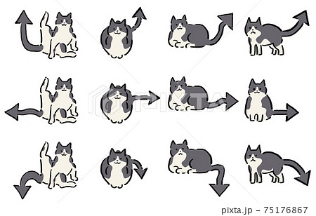 くつろぐ猫 しっぽ矢印セット 手描き 線画 カラーのイラスト素材 75176867 Pixta
