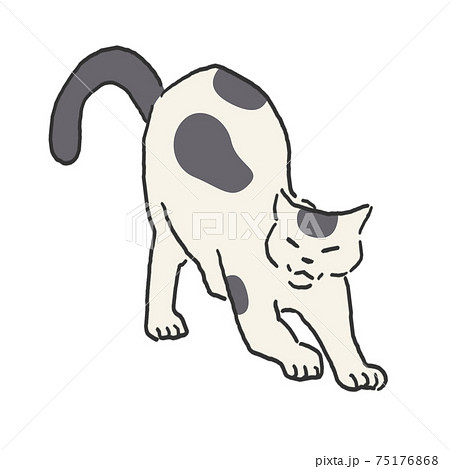 くつろぐ猫　手描き　線画　カラー 75176868