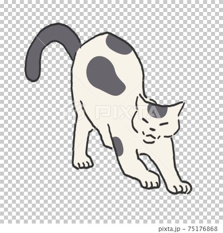 くつろぐ猫　手描き　線画　カラー 75176868