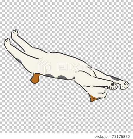 Relaxing cat hand-painted line art color Relaxing cat hand-painted line art color 75176870