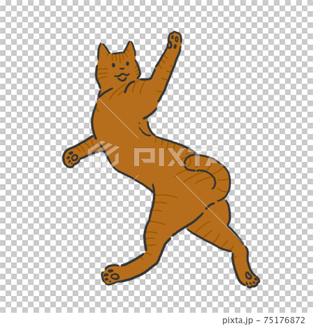 Relaxing cat hand-painted line art color 75176872