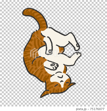 Relaxing cat hand-painted line art color Relaxing cat hand-painted line art color 75176877