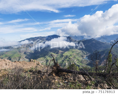 Scenic view from top of Tamadaba natural park with green hills, forest mountains and dam lake. Gran Canaria, Canary Islands, Spain 75176913