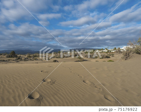 View of the Natural Reserve of Dunes of Maspalomas with white apartments and hotels. Golden sand dunes, blue sky. Gran Canaria, Canary Islands, Spain 75176922