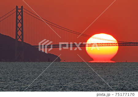 明石海峡大橋に沈むダルマ夕日 75177170