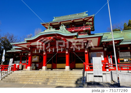 東京 富岡八幡宮 75177290