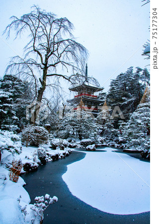 仙台　北山　輪王寺の日本庭園　三重塔と雪吊り 75177304