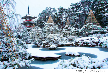 仙台 北山 輪王寺の日本庭園 三重塔と雪吊り 仙台 北山 輪王寺の日本庭園 三重塔と雪吊り 75177309