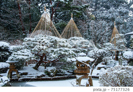 仙台　北山　輪王寺の日本庭園　雪吊り 75177326