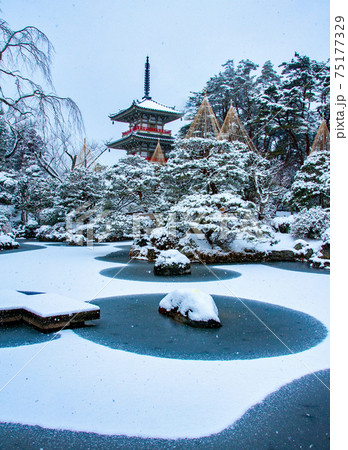 仙台　北山　輪王寺の日本庭園　三重塔と雪吊り 75177329