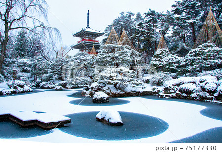 仙台　北山　輪王寺の日本庭園　三重塔と雪吊り 75177330