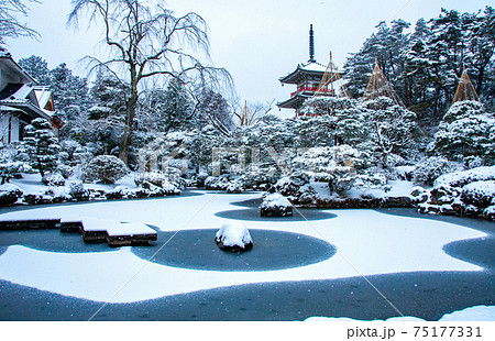 仙台　北山　輪王寺の日本庭園　三重塔と雪吊り 75177331