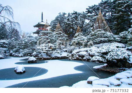 仙台　北山　輪王寺の日本庭園　三重塔と雪吊り 75177332