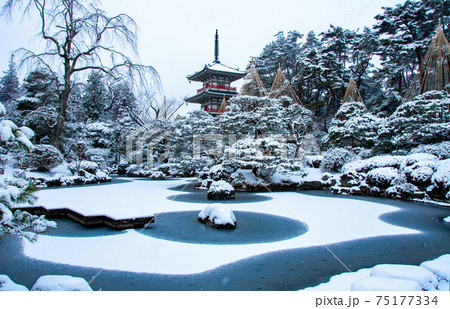 仙台 北山 輪王寺の日本庭園 三重塔と雪吊り 仙台 北山 輪王寺の日本庭園 三重塔と雪吊り 75177334