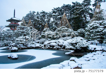 仙台 北山 輪王寺の日本庭園 三重塔と雪吊り 仙台 北山 輪王寺の日本庭園 三重塔と雪吊り 75177379