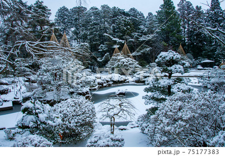 仙台　北山　輪王寺の日本庭園　雪吊り 75177383