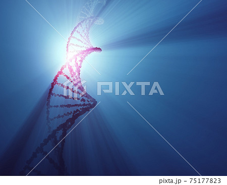 DNA Molecule Helix Genetic Code 75177823