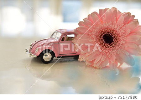 ガーベラと車 ガーベラと車 75177880