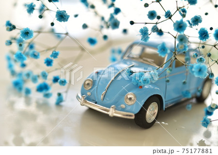 カスミソウと車 75177881