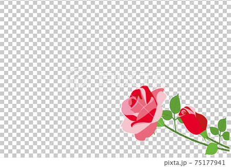 Red rose flower frame background material postcard Red rose flower frame background material postcard 75177941