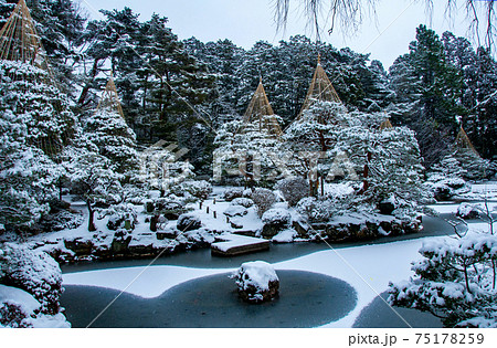仙台 北山 輪王寺の日本庭園 雪吊り 仙台 北山 輪王寺の日本庭園 雪吊り 75178259