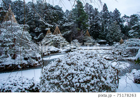 仙台 北山 輪王寺の日本庭園 雪吊り 仙台 北山 輪王寺の日本庭園 雪吊り 75178263