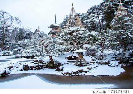 仙台 北山 輪王寺の日本庭園 三重塔と雪吊り 仙台 北山 輪王寺の日本庭園 三重塔と雪吊り 75178485