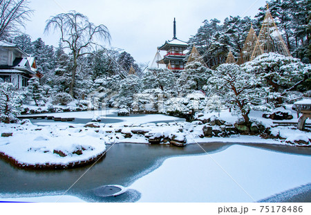 仙台　北山　輪王寺の日本庭園　三重塔と雪吊り 75178486