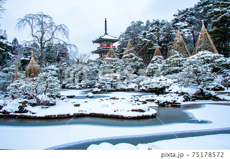 仙台　北山　輪王寺の日本庭園　三重塔と雪吊り 75178572