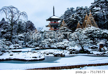 仙台 北山 輪王寺の日本庭園 三重塔と雪吊り 仙台 北山 輪王寺の日本庭園 三重塔と雪吊り 75178575