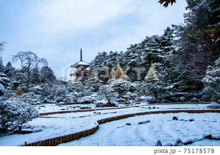 仙台　北山　輪王寺の日本庭園　三重塔と雪吊り 75178578
