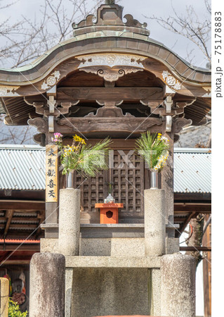 乙津寺 乙津寺 75178883