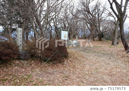 佐和山山頂の佐和山城跡 佐和山山頂の佐和山城跡 75179573