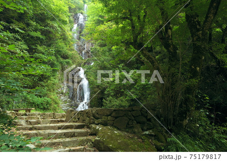 滝の風景 滝の風景 75179817
