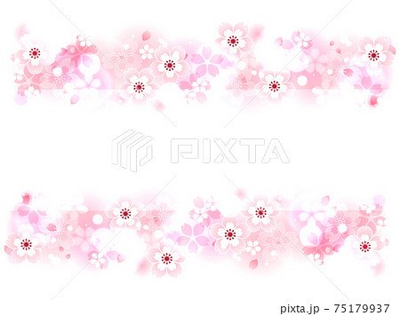 桜の花のイラスト背景素材のイラスト素材