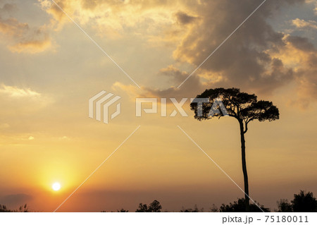 タイ国カオコーの夕焼け タイ国カオコーの夕焼け 75180011