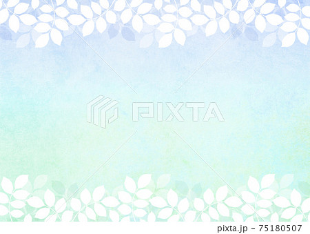 背景素材_木の葉 新緑 若葉 青葉 背景素材_木の葉 新緑 若葉 青葉 75180507