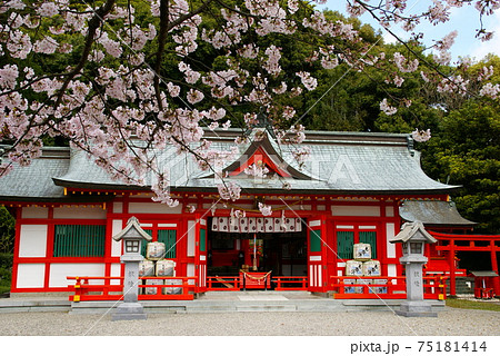 阿須賀神社の写真素材 [75181414] - PIXTA